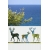 ROZ35 50x47 naklejka na okno wzory zwierzęce - sarny, jelenie, łosie